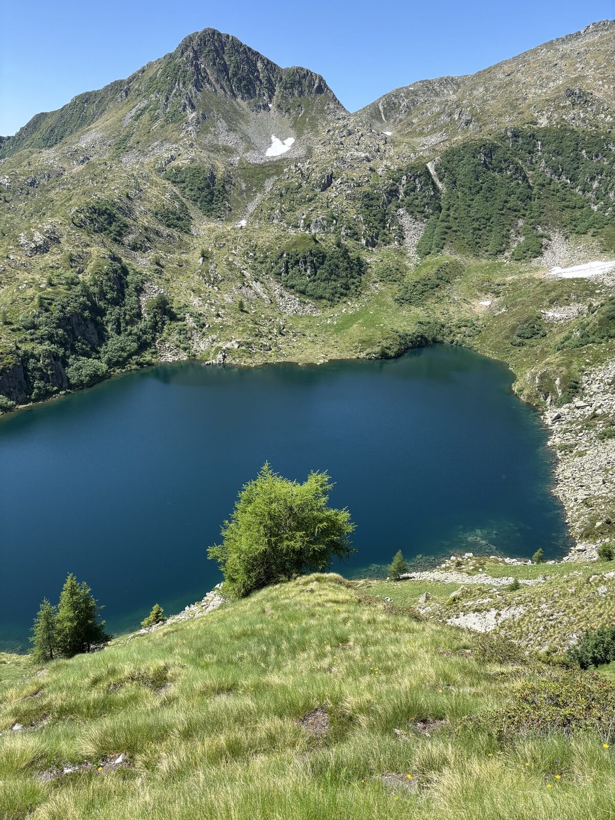Lago alpino in estate