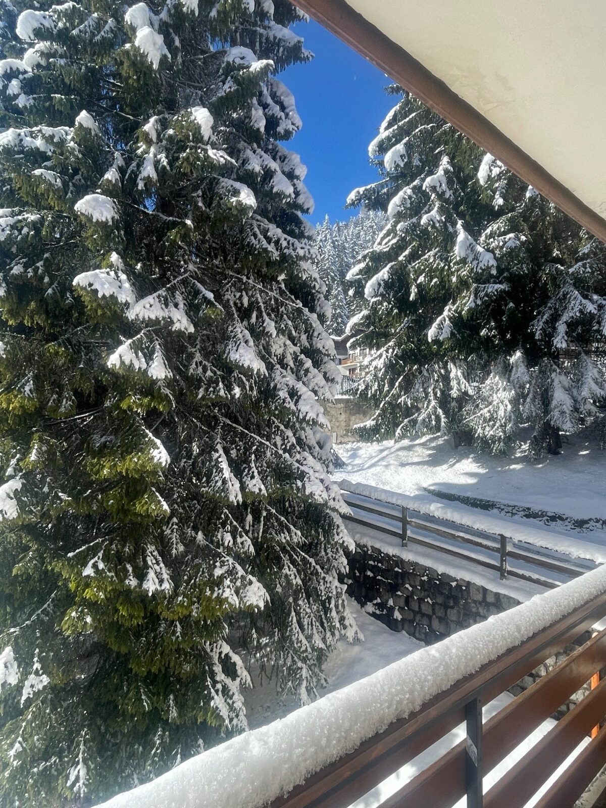 Abeti innevati vicino alla casa