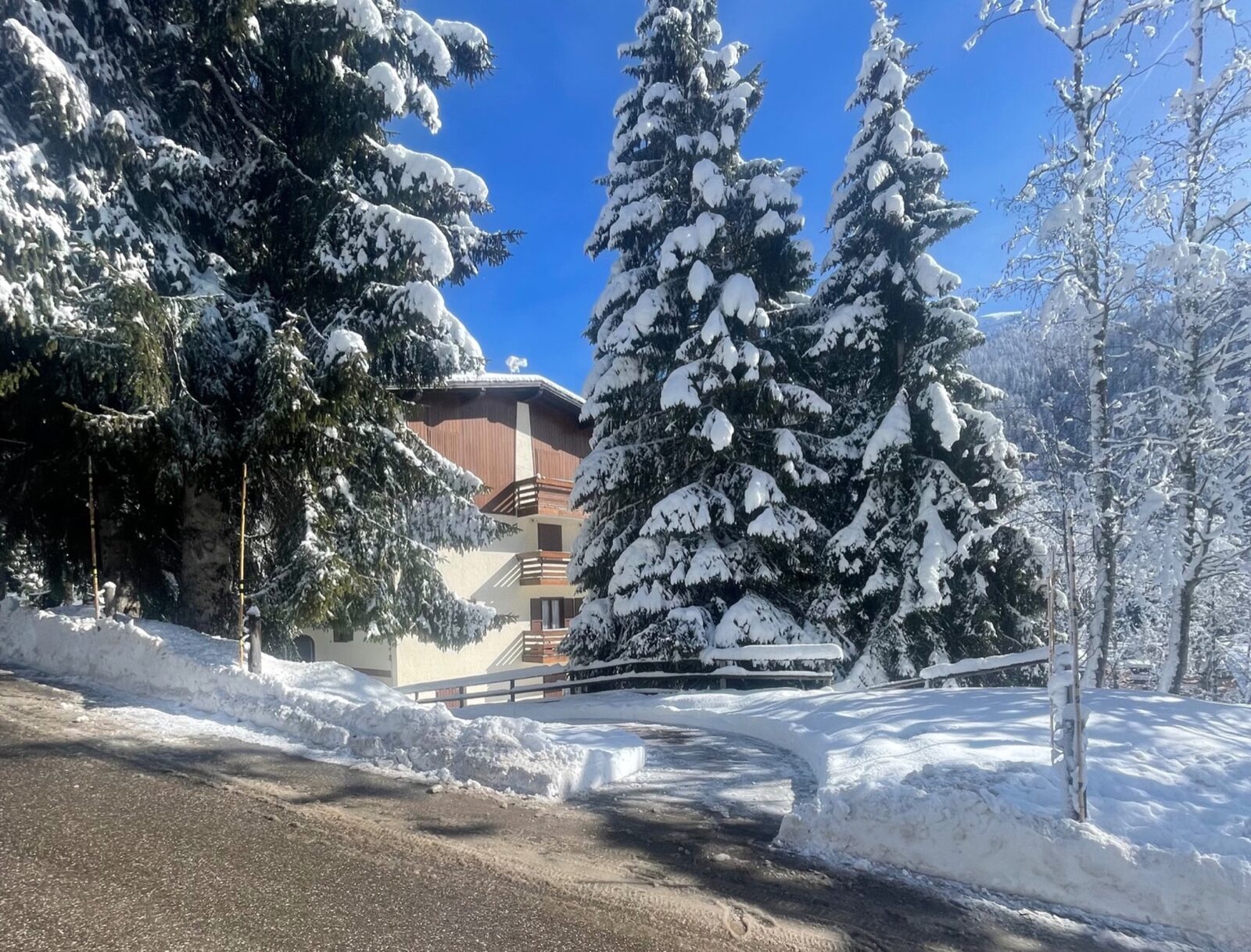 Bosco innevato vicino alla casa