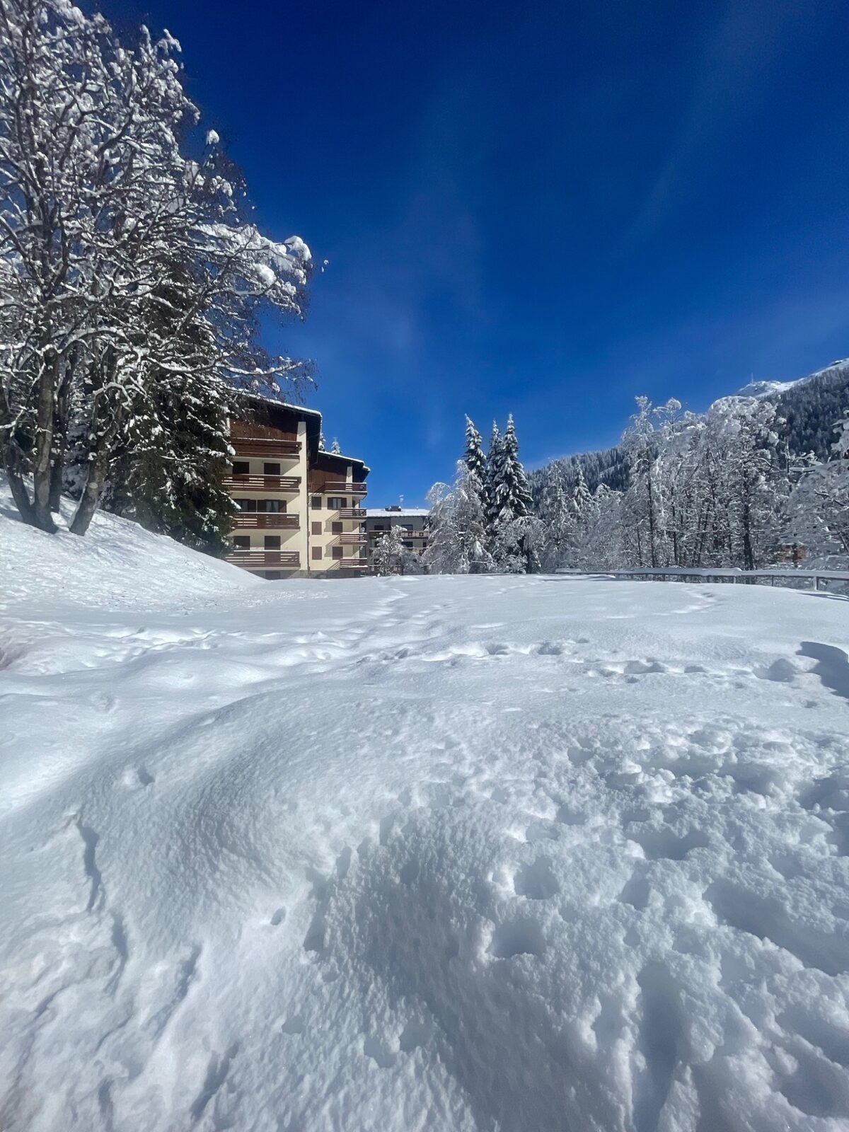 Neve fresca a Madonna di Campiglio